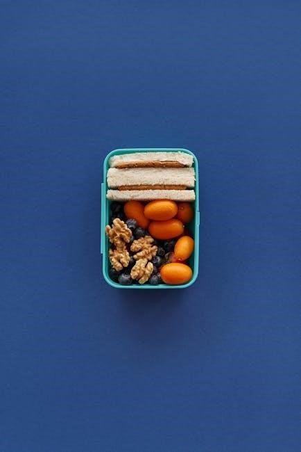 omad meal plan pdf omad meal plan pdf